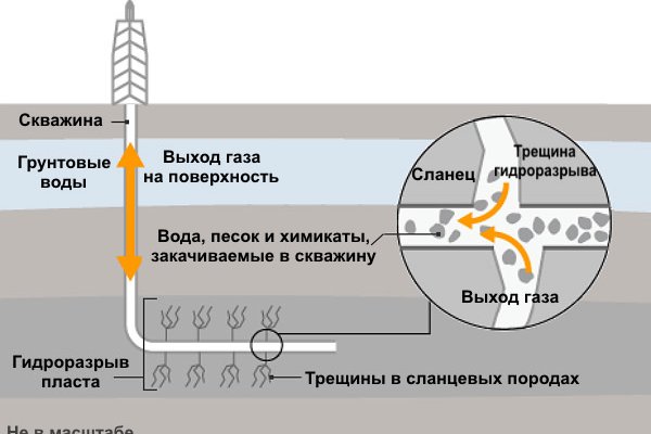 Кракен тгк